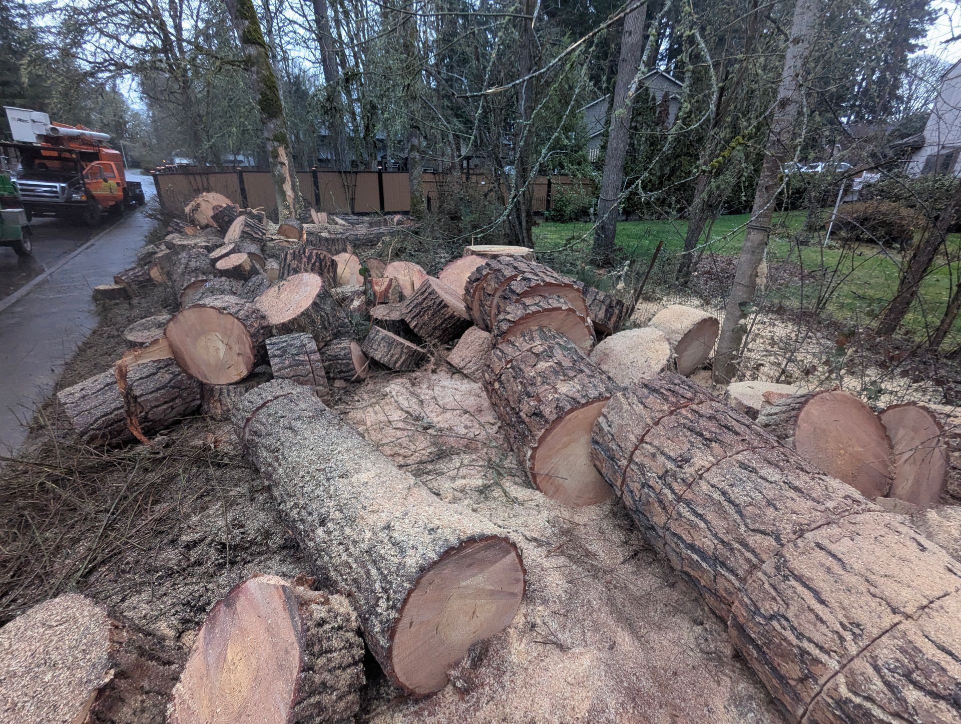 Freshly cut logs stacked along a roadside near a wooded area and an orange truck.