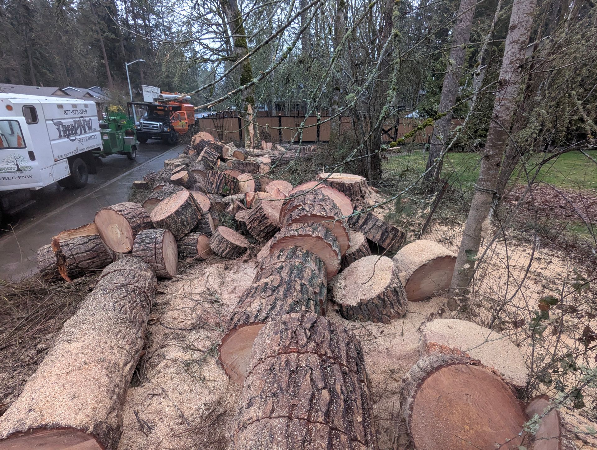 Freshly cut tree logs piled on a roadside in a wooded area, with a truck in the background