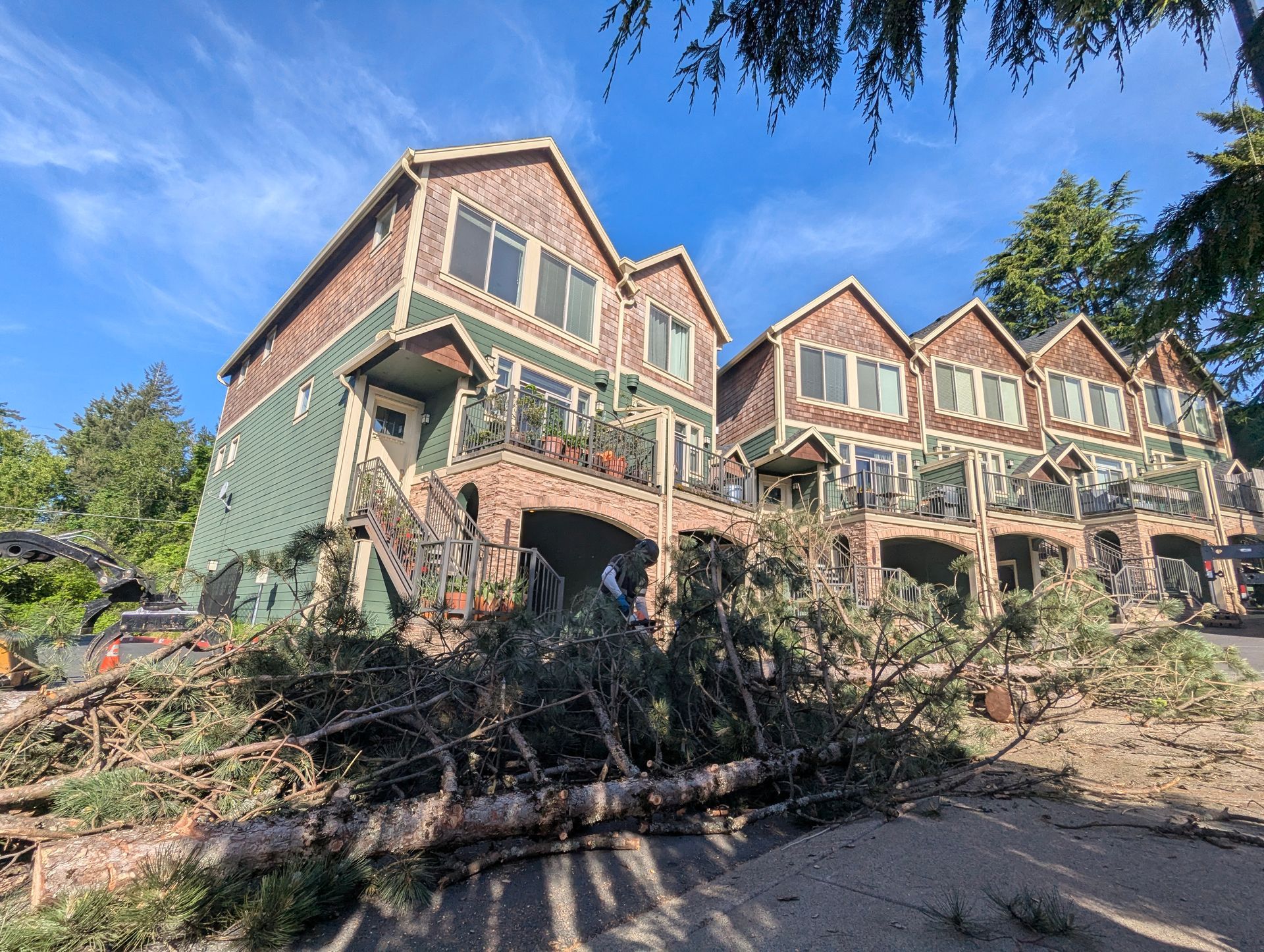 Row of green and brick houses with storm-damaged fallen tree branches in front