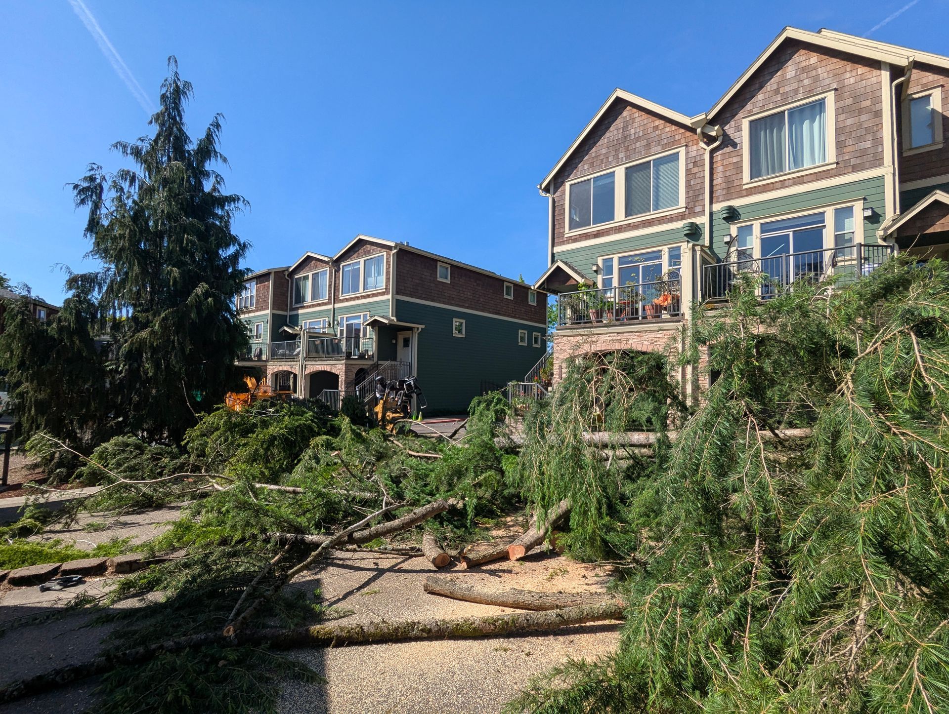Storm damage with fallen trees blocking a residential street in front of houses.