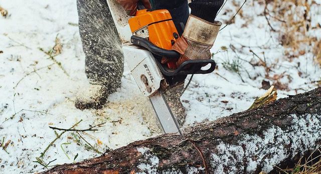 Chainsaw cutting a fallen tree trunk in snowy woods, with orange safety gear visible
