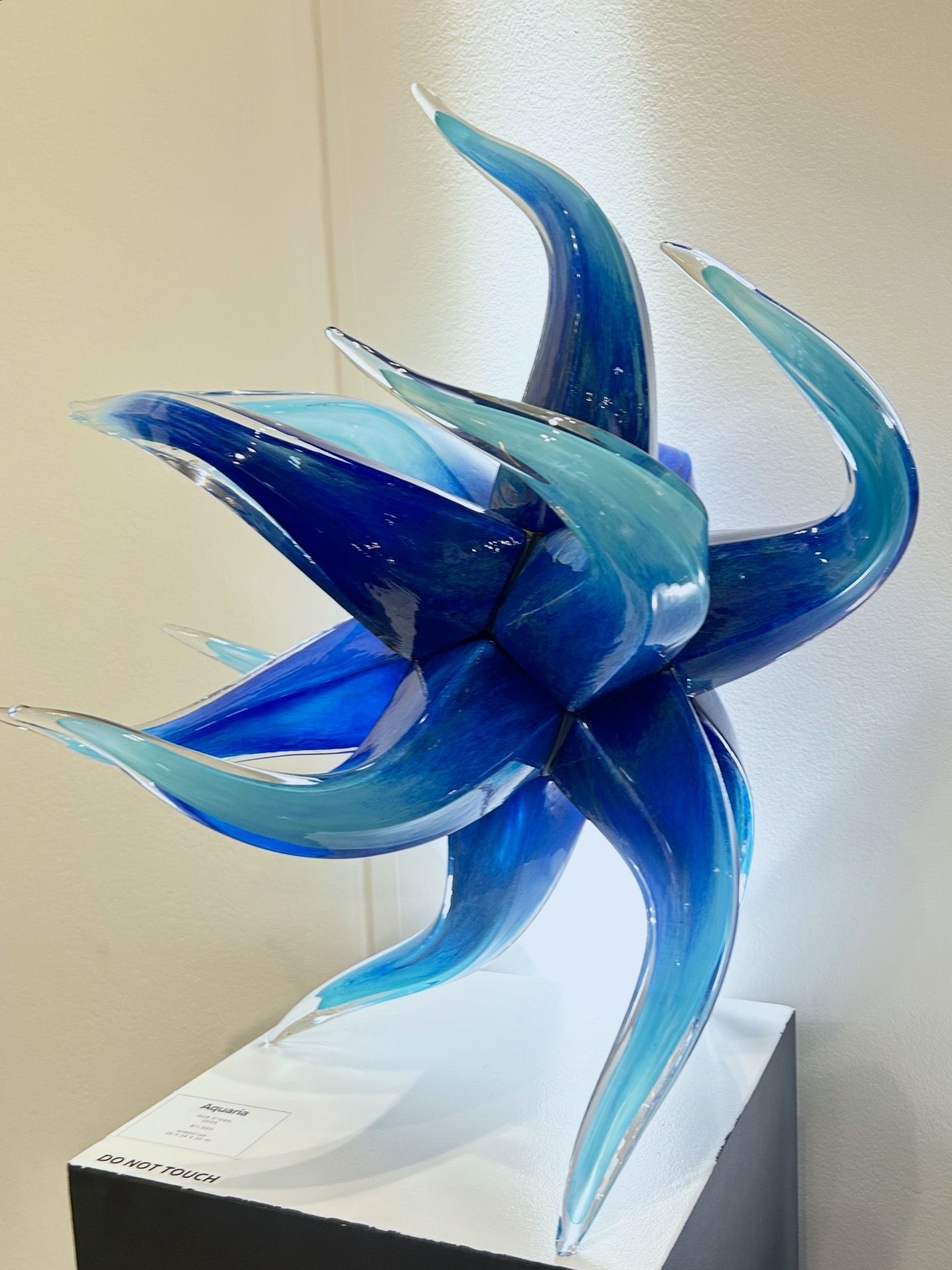 Blue and aqua glass sculpture of a flower, on a white pedestal, against a white wall.