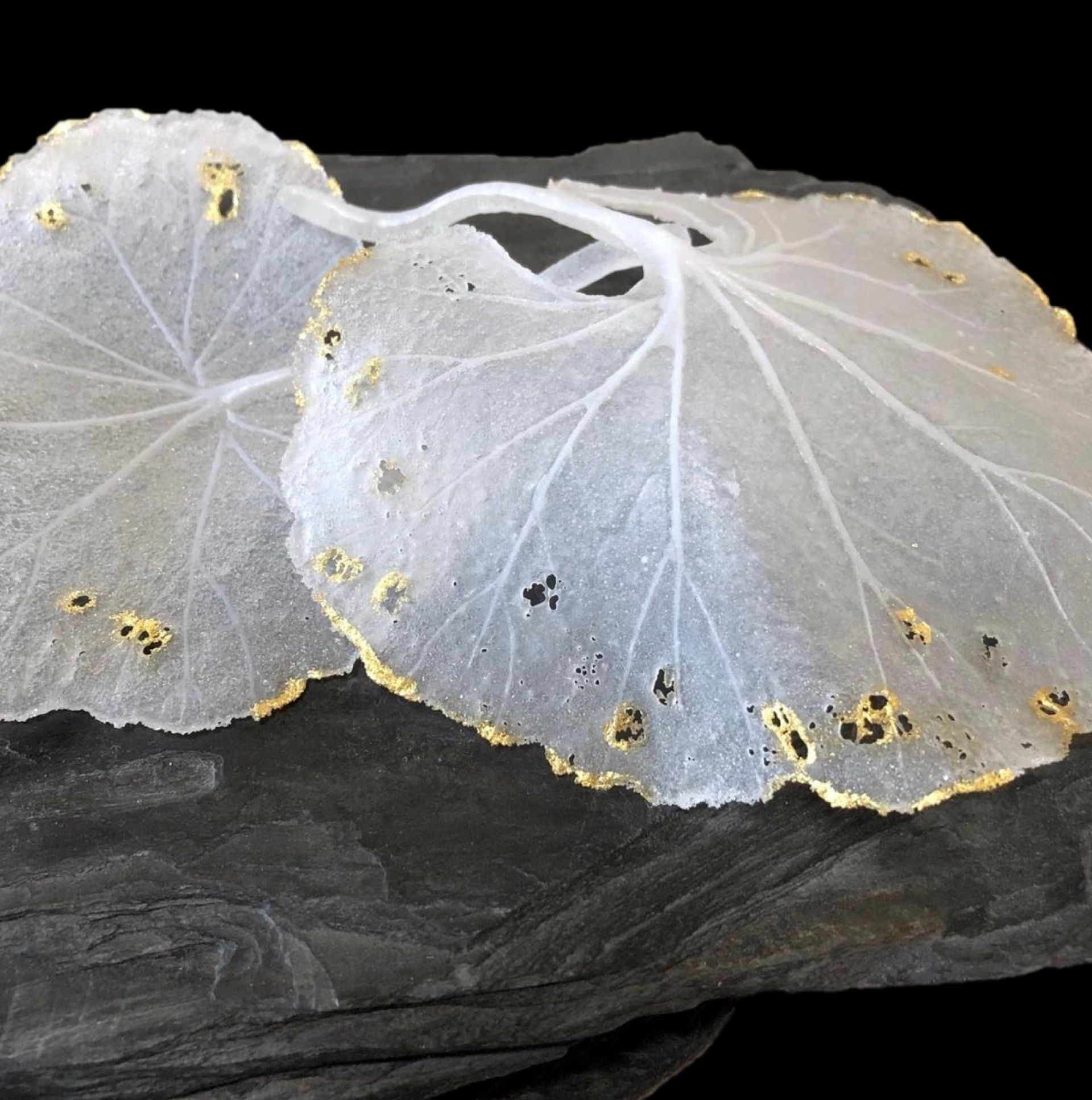 Delicate, translucent white leaves with gold edges and details rest on a dark, textured surface.