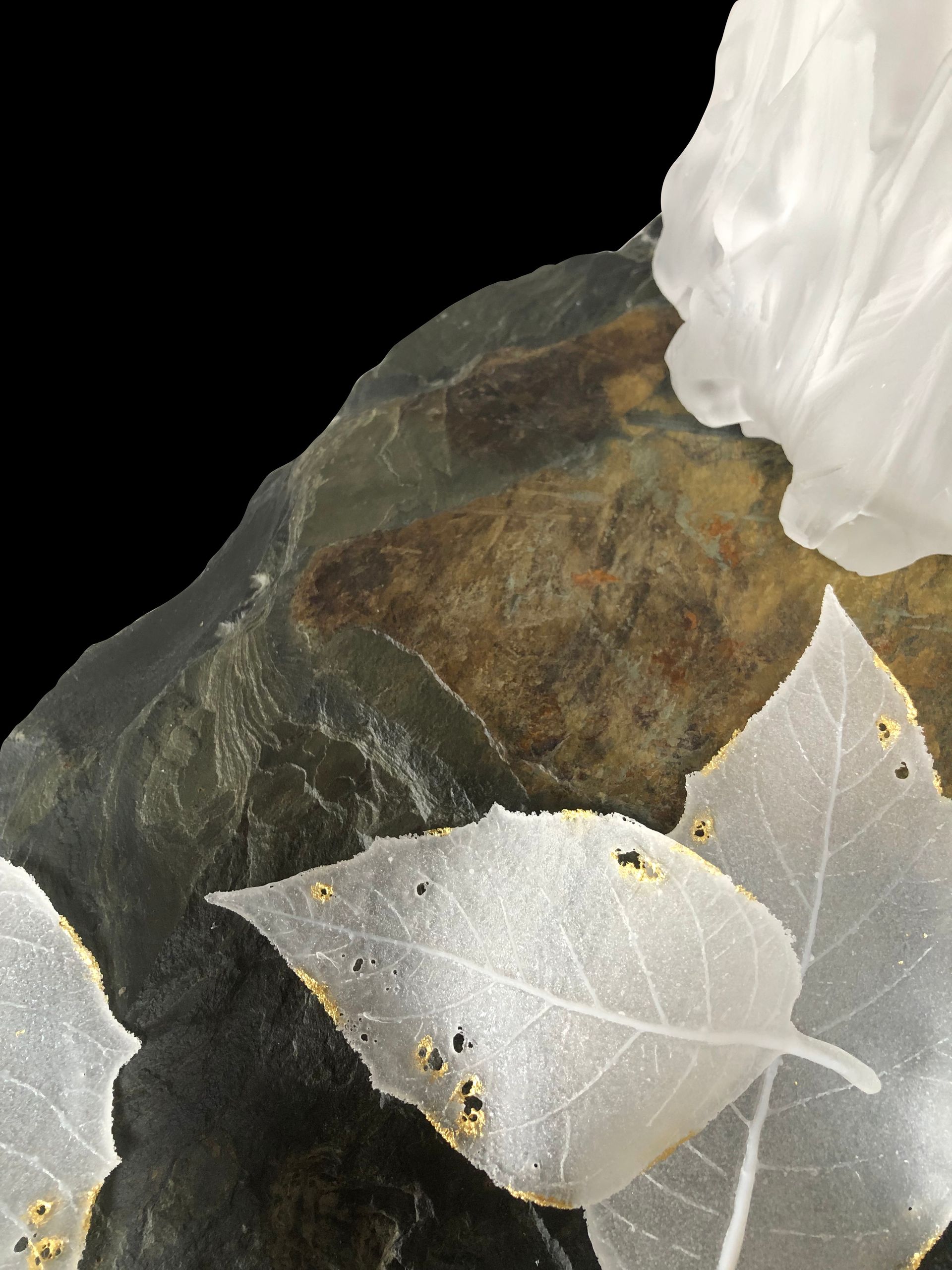Close-up of a textured, grey-green stone with translucent, veined leaves. A white, undefined shape is in the corner.
