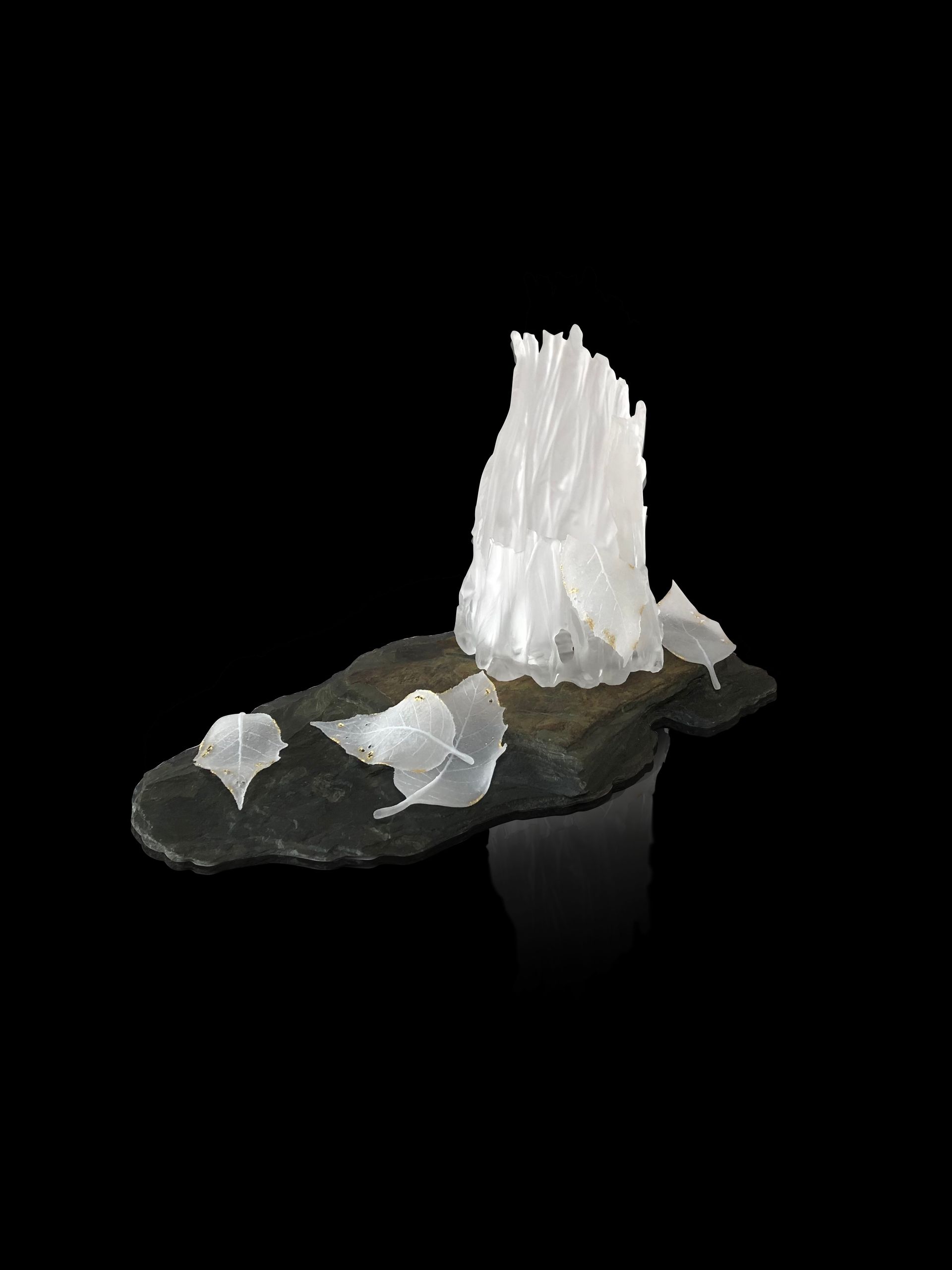 White, crystalline structure on a dark, flat stone with delicate leaf-like details, set against a black background.