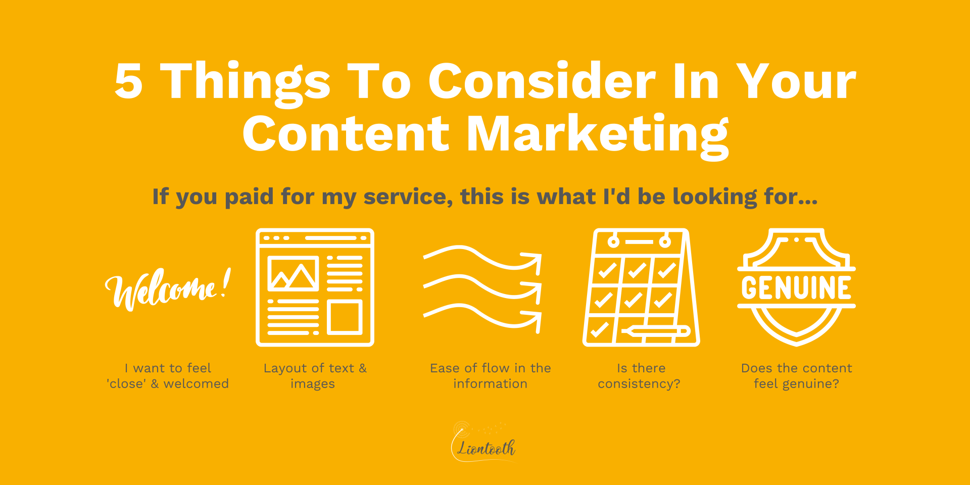 An infographic highlighting the 5 things that Liontooth would review in your content marketing to make it as effective as possible.