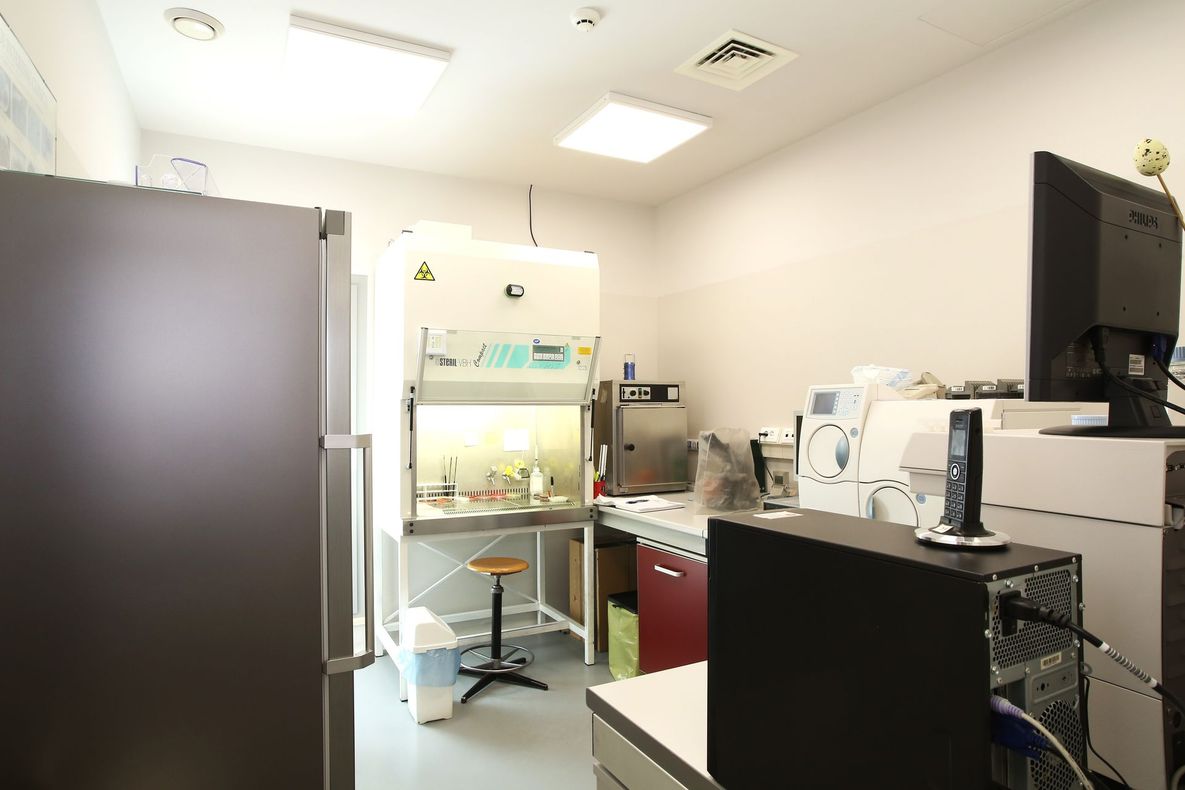 Piccola stanza adibita a laboratorio, dotata di cappa di biosicurezza, frigorifero e attrezzatura da banco.