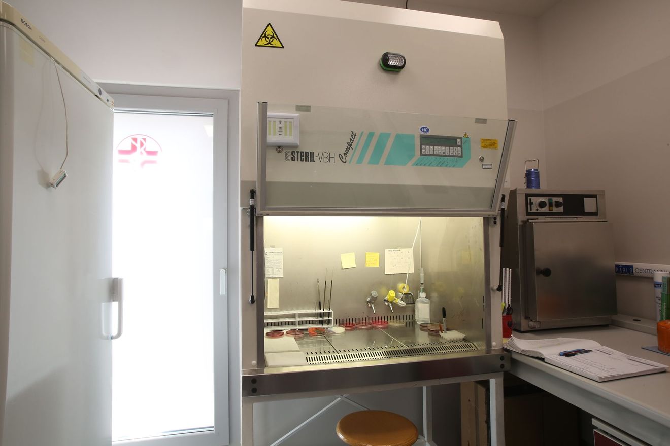 Cabina di biosicurezza da laboratorio con attrezzature, lavello e piano di lavoro in un'area di lavoro pulita.