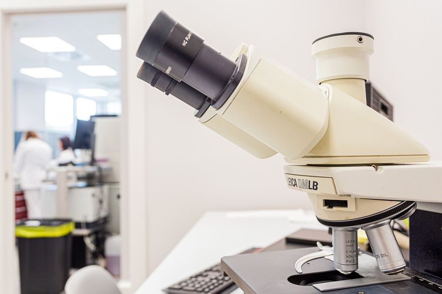 microscopio
