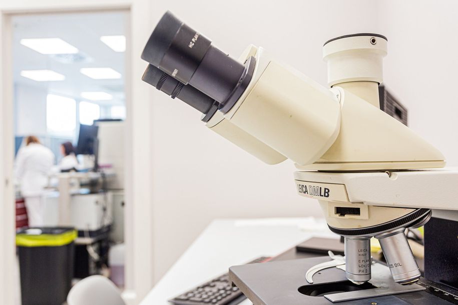 microscopio