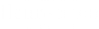 Un fond blanc avec quelques lignes dessus