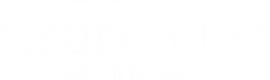 Un fond blanc avec quelques lignes dessus