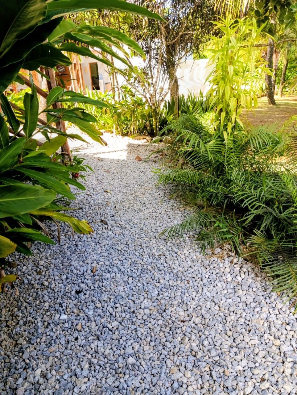 Gravel pathway in a garden, bordered by green plants and foliage under sunlight.
