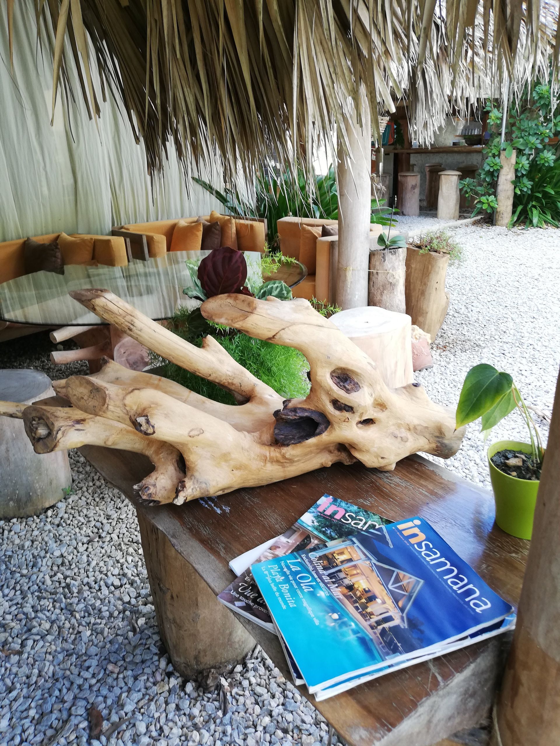 Driftwood sculpture on a wooden table with magazines, plants, and an outdoor setting.