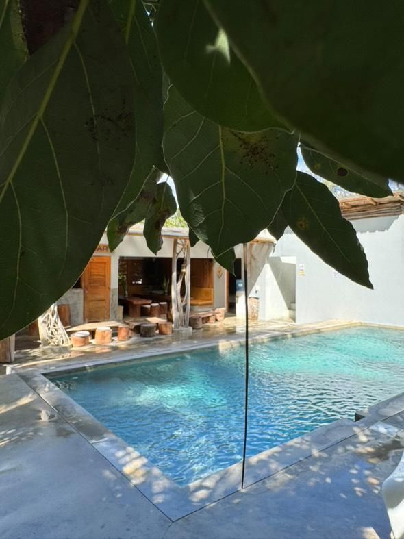 Pool and building framed by leaves; turquoise water, white walls, sunny day.