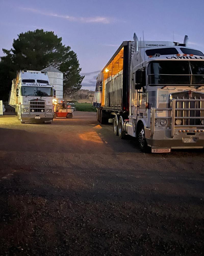 Large Truck Transport Service at Night — Joe Camilleri Transport in Sydney, ACT
