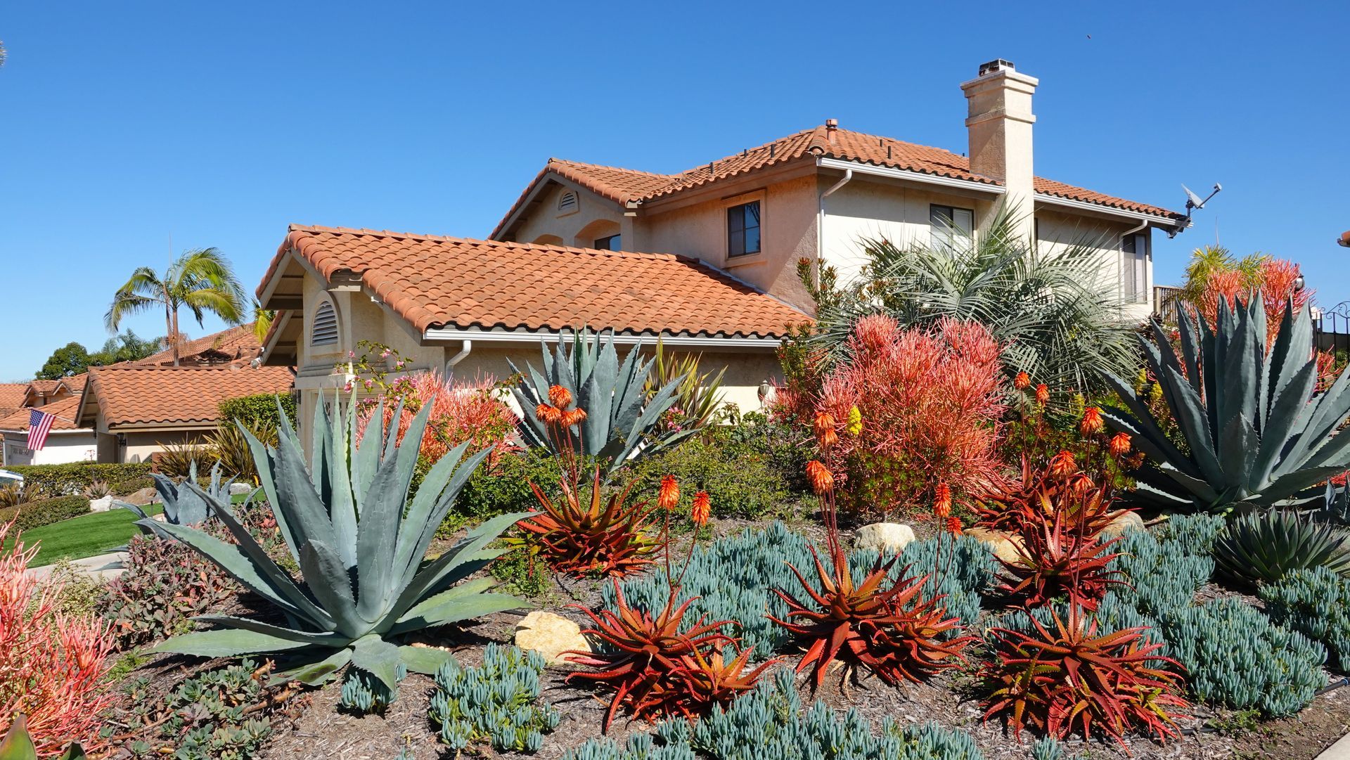 Desert garden with succulents and shrubs beside a sidewalk, with buildings and blue sky in the background