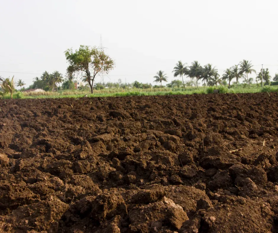 Freshly plowed dark soil in foreground with a line of green trees under a hazy sky