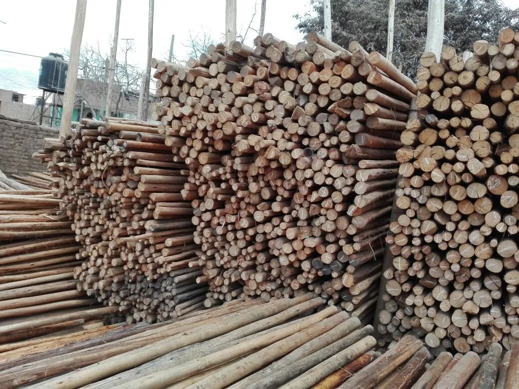 Montones de troncos cortados y madera apilados al aire libre en un patio.