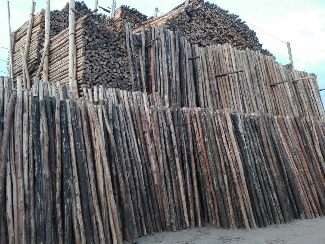 Montones de leña apilados o postes amontonados al aire libre contra un cielo gris.