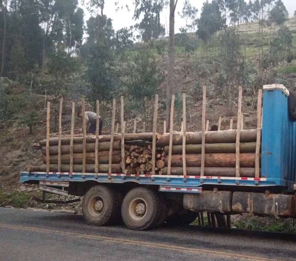 Camión azul de plataforma cargado con troncos apilados al costado de la carretera, con árboles al fondo.