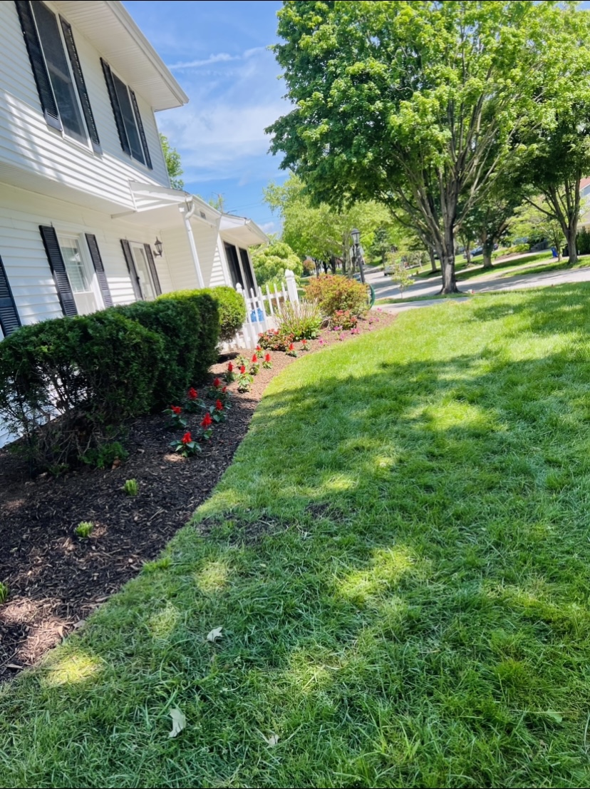 sod install example