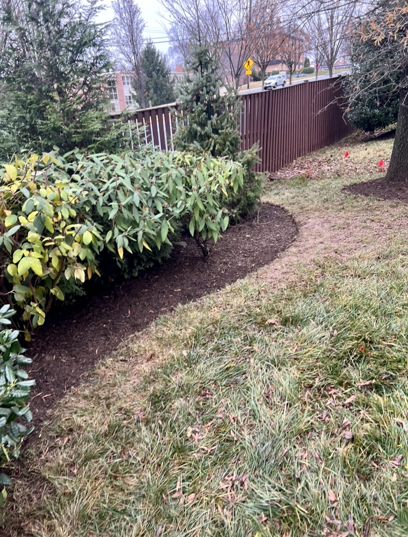 flower bed edging