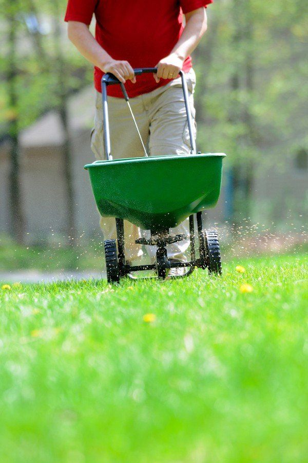 lawn maintenance