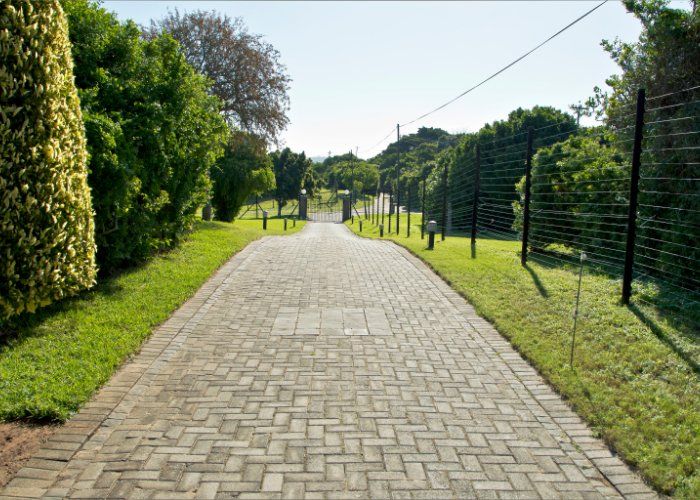 walkway landscape design