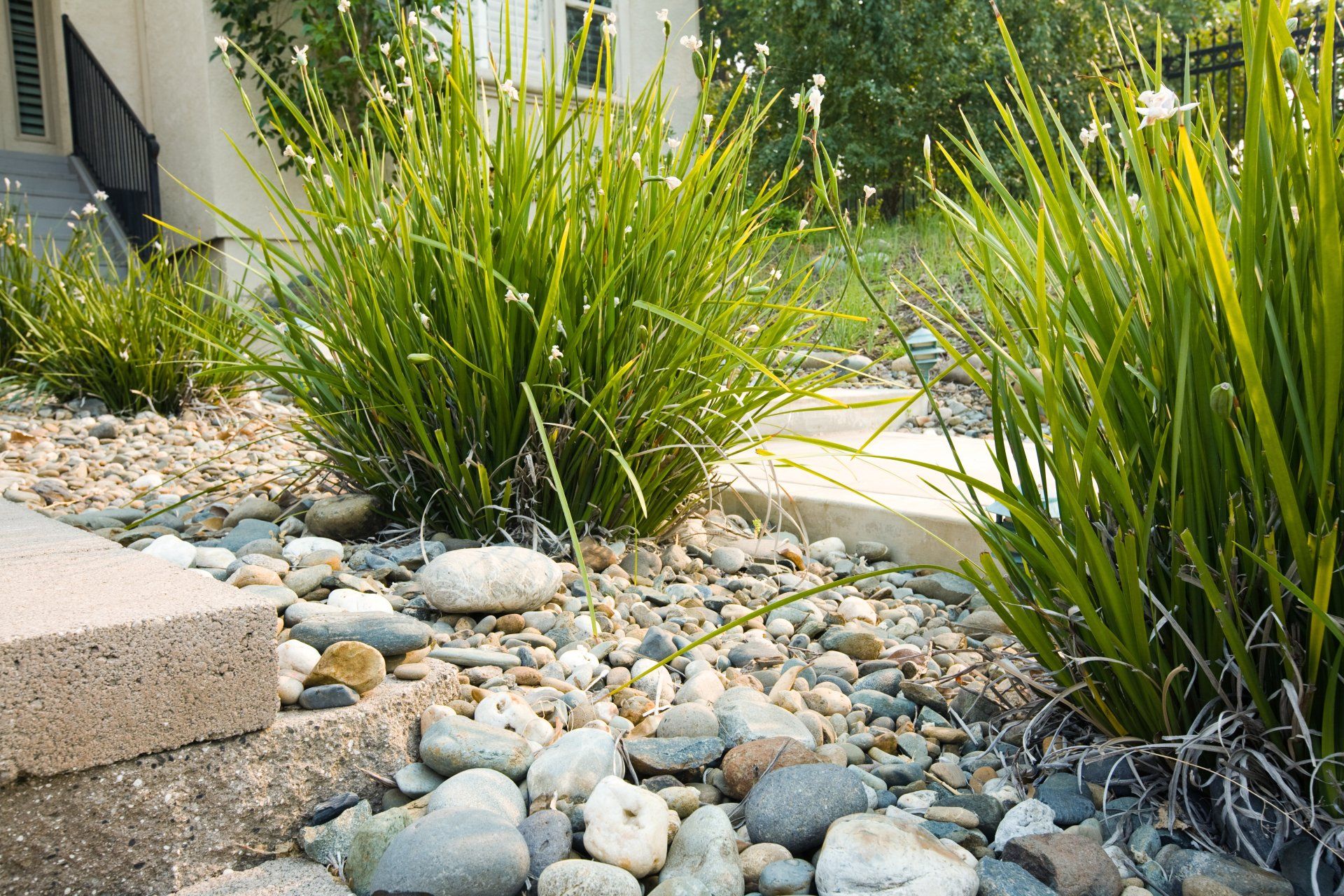 beautiful pebble landscaping
