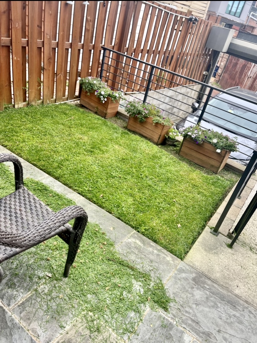 Sod we installed on a job