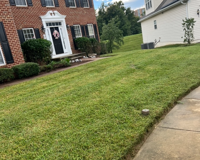 Columbia MD Landscaping job