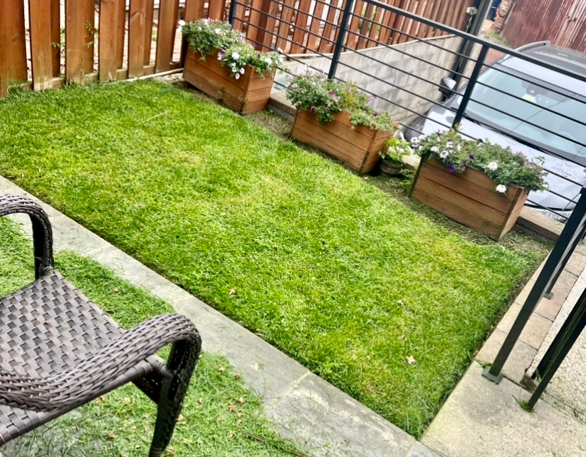 backyard landscaping