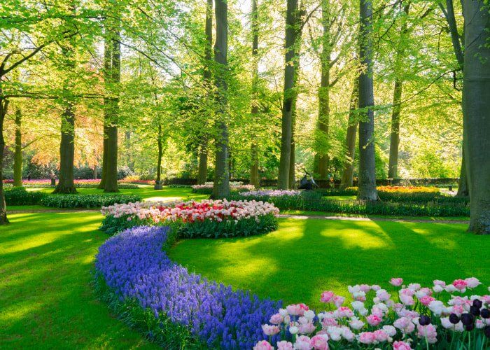 flower bed landscape design