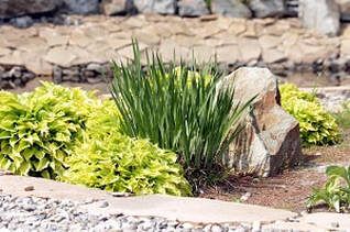 mulch bed ideas