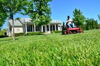 lawn mowing