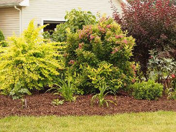 beautiful mulch job in Columbia MD