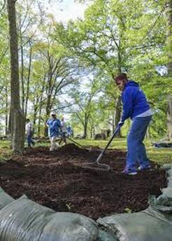 Landscapers mulching on the job