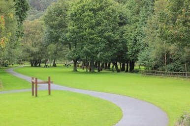 beautiful lawn care