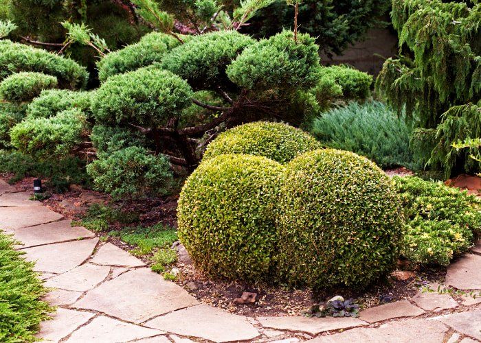 walkway landscape design