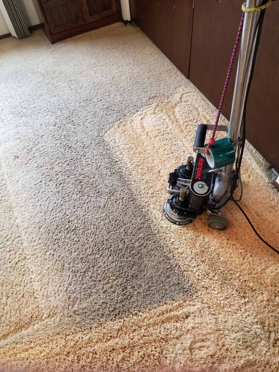 A vacuum cleaner is sitting on top of a carpet in a room.