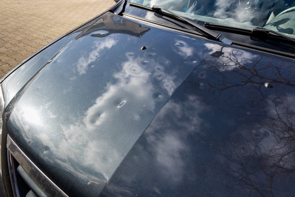 A close up of the hood of a car with clouds reflected in it — East Maitland Body Repairs in East Maitland, NSW