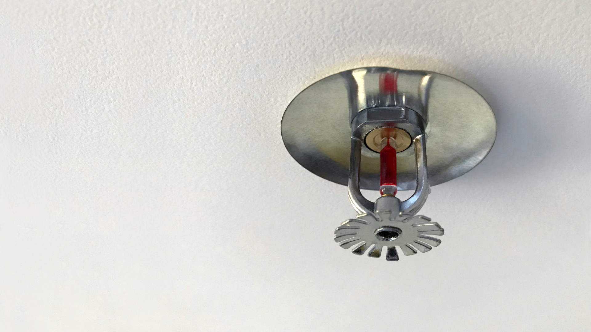 Ceiling-mounted fire sprinkler with a metal plate on a white ceiling