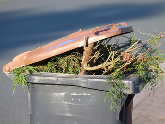 garden clearance