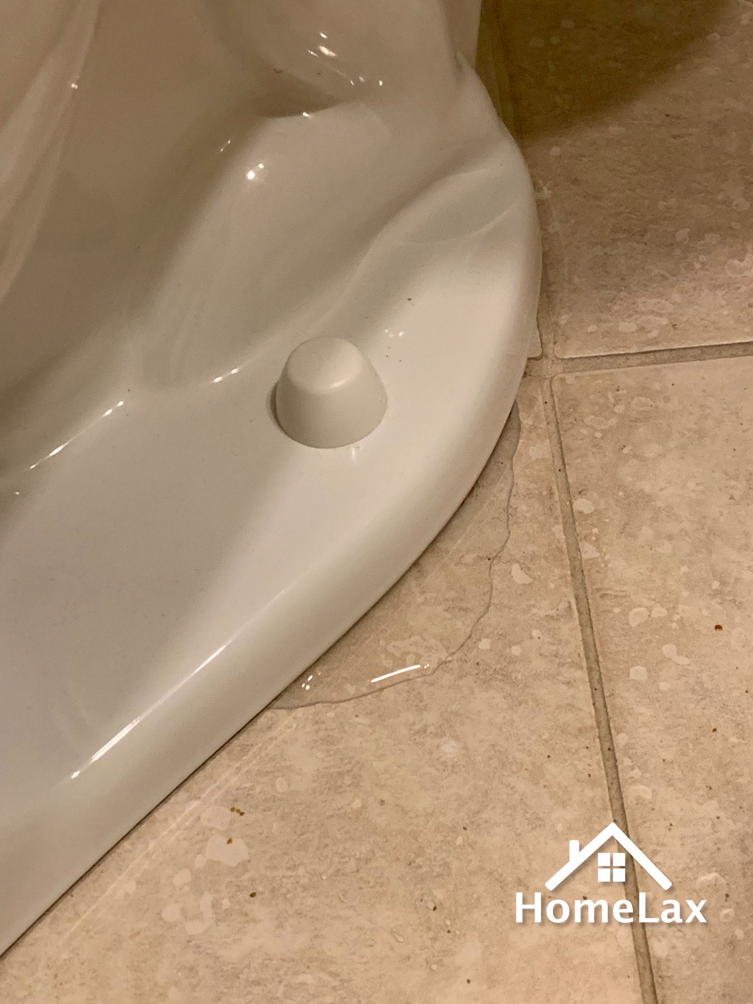 A puddle of water leaking onto the floor from the base of a white porcelain toilet.