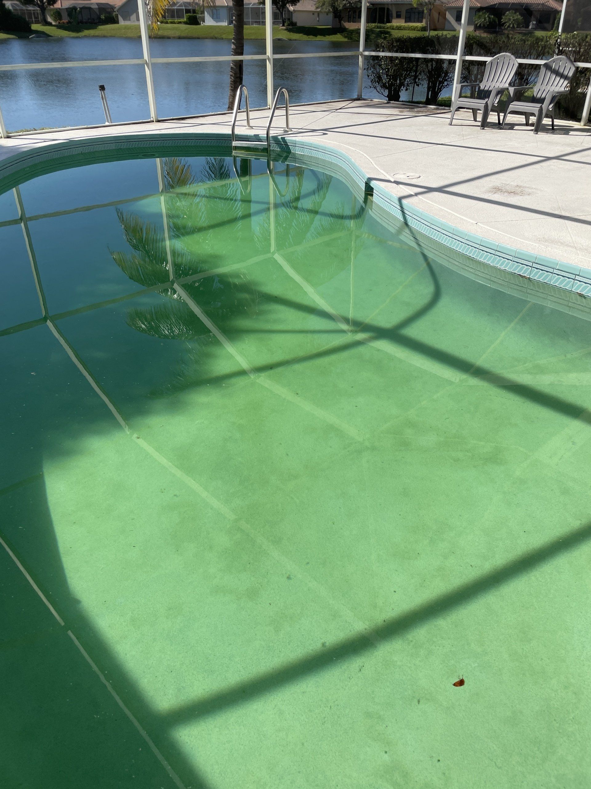 An outdoor swimming pool with bright green, murky water inside a screened-in enclosure by a lake.