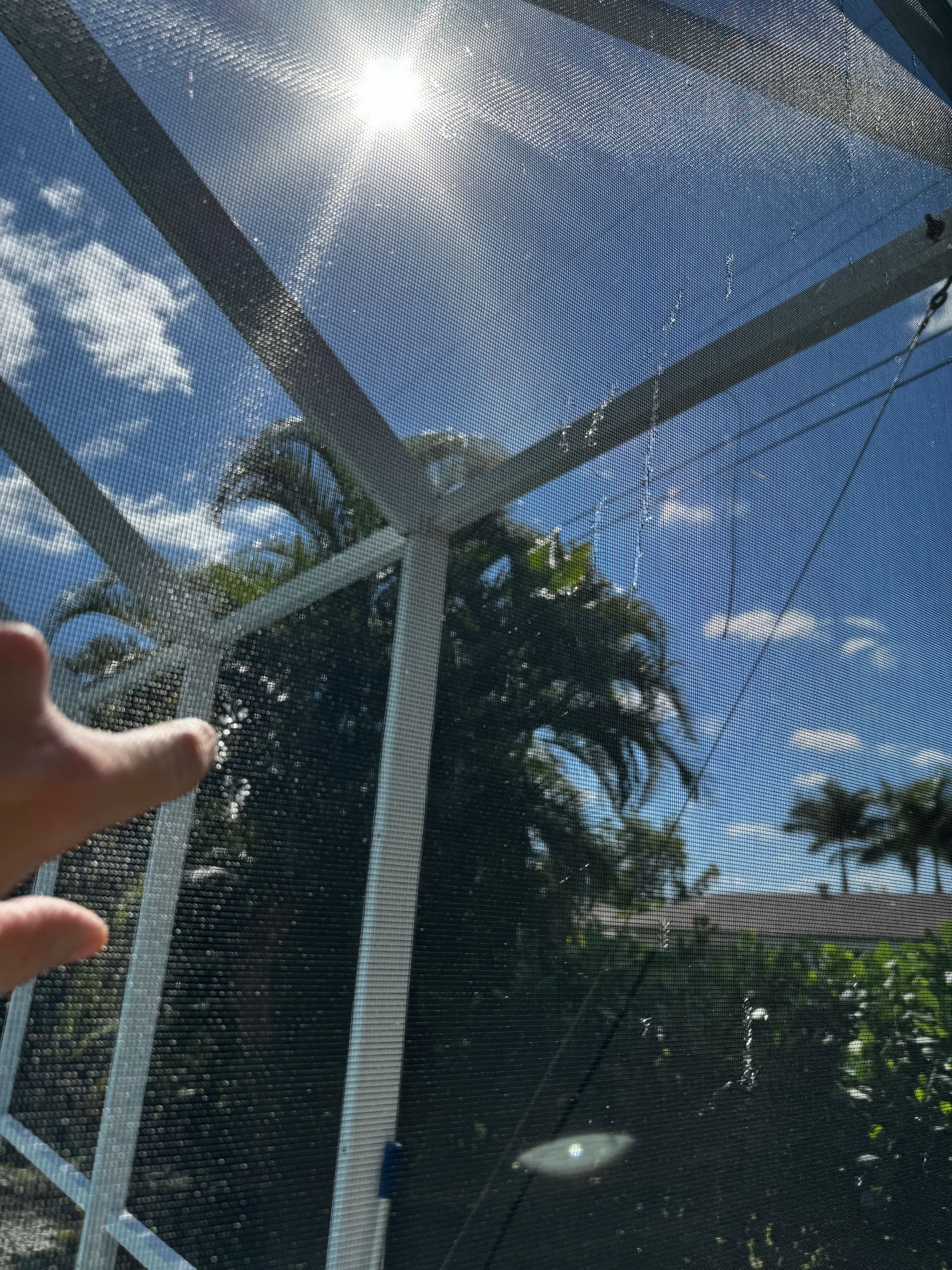 A person's hand reaches toward a white pool enclosure screen against a sunny sky with palm trees visible in the background.