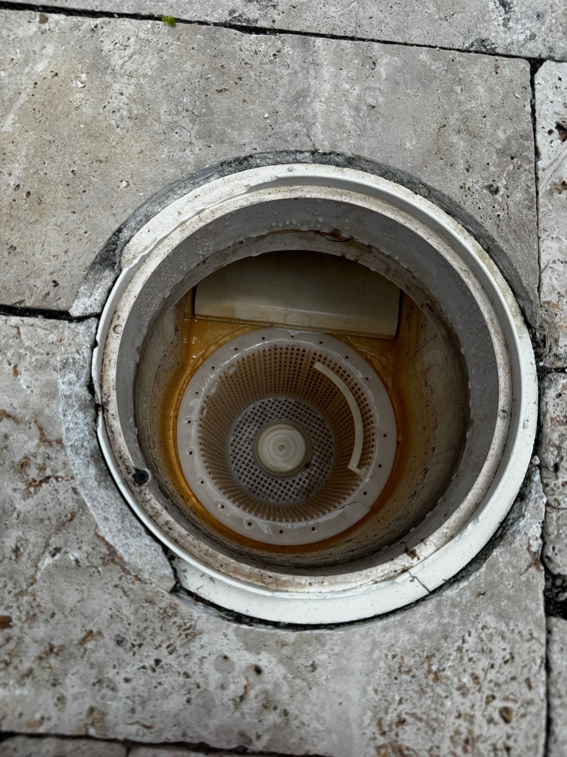 A white plastic swimming pool skimmer basket sits inside a circular, in-ground pool skimmer housing set in stone pavers.