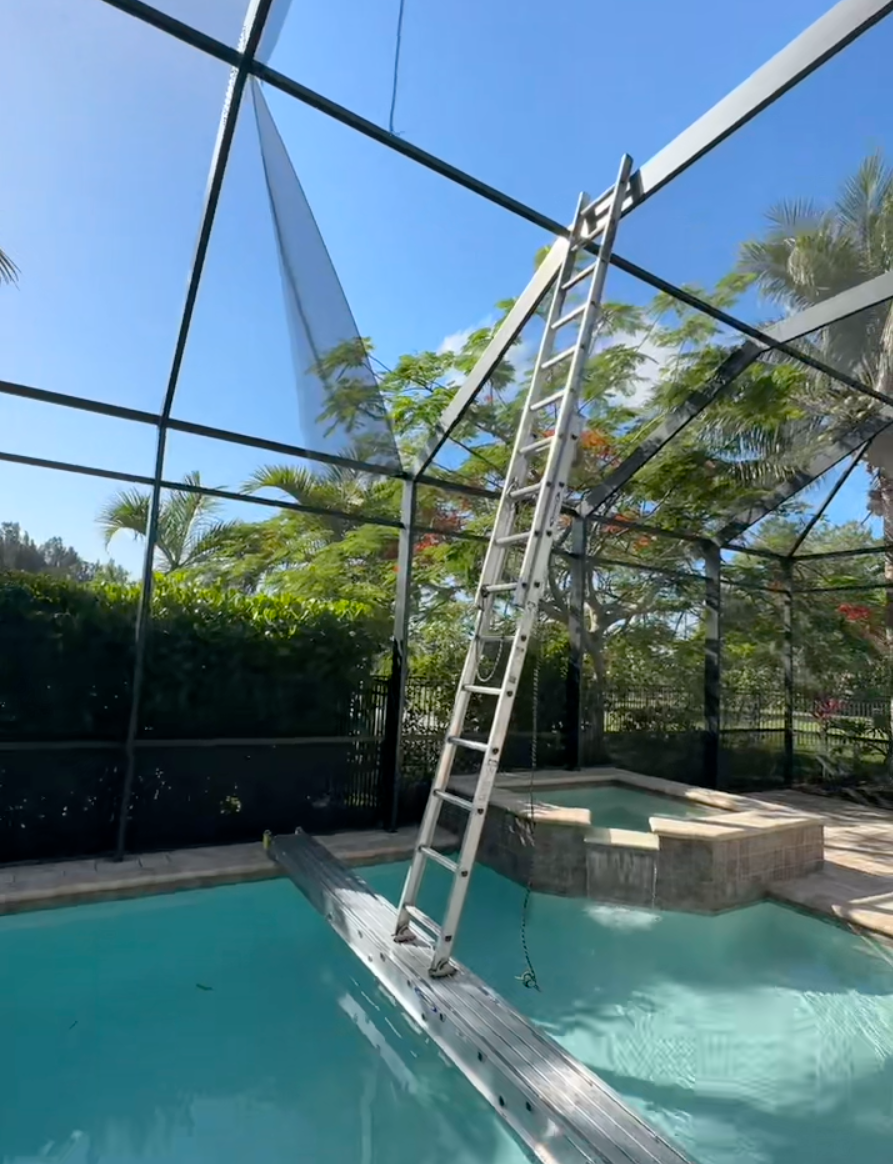 An extension ladder stands on a makeshift plank across a backyard swimming pool, leaning against a screened enclosure.