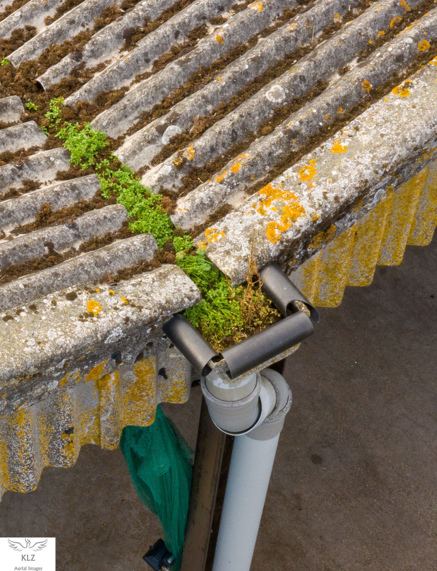 Commercial Inspection